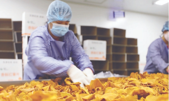 如何用RTO处理油炸、烘焙、包装3大食品加工VOCs及臭气？来看工程实例